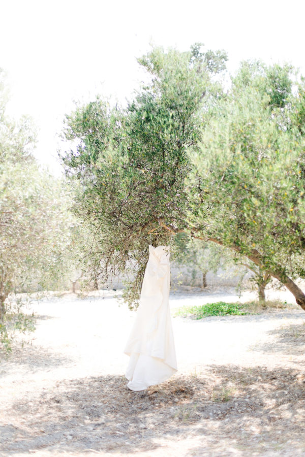 Designer bridal dress hanging over an olive tree.